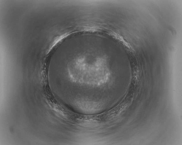 X0000115511256200911201632