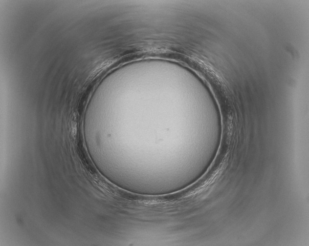 X0000115511257200911201632