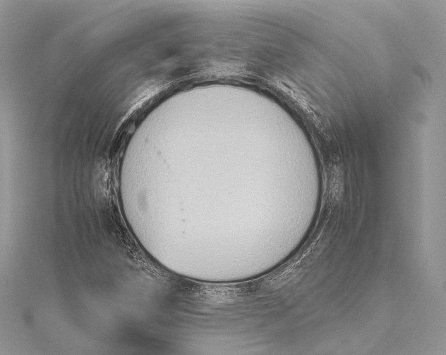 X0000115511258200911201632