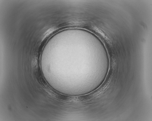 X0000115511259200911201632