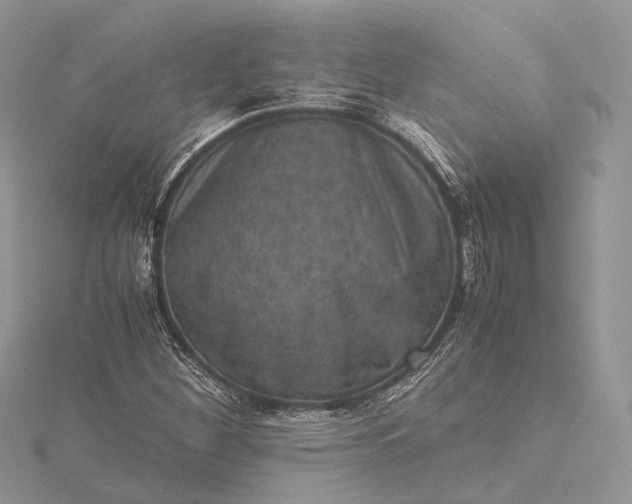 X0000115511260200911201632