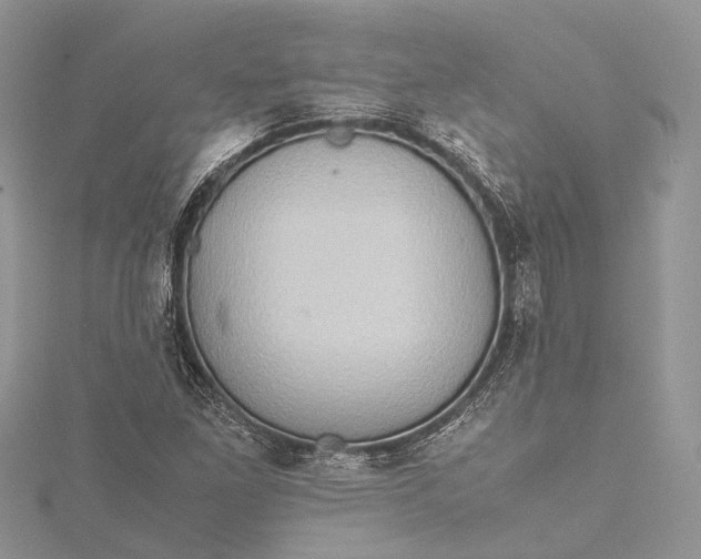 X0000115511261200911201632