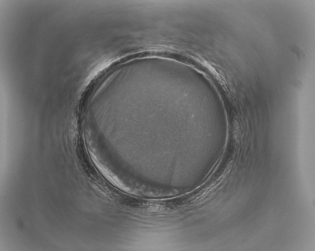 X0000115511263200911201632