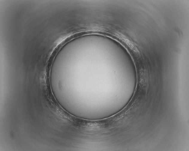 X0000115511264200911201632