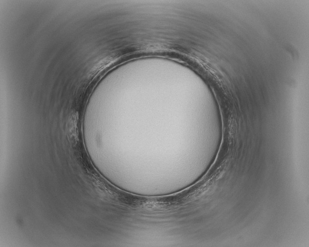 X0000115511265200911201632