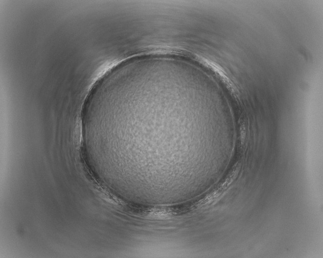 X0000115511267200911201632