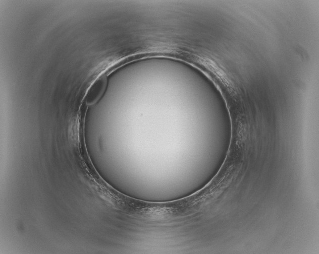 X0000115511268200911201631