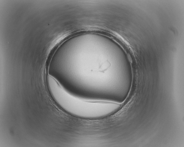 X0000115511269200911201631