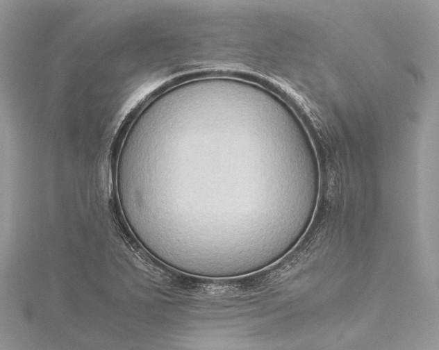 X0000115511271200911201631