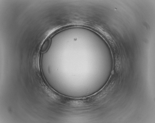 X0000115511272200911201631