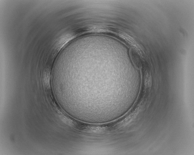 X0000115511273200911201631