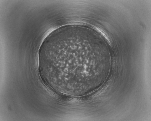 X0000115511275200911201631