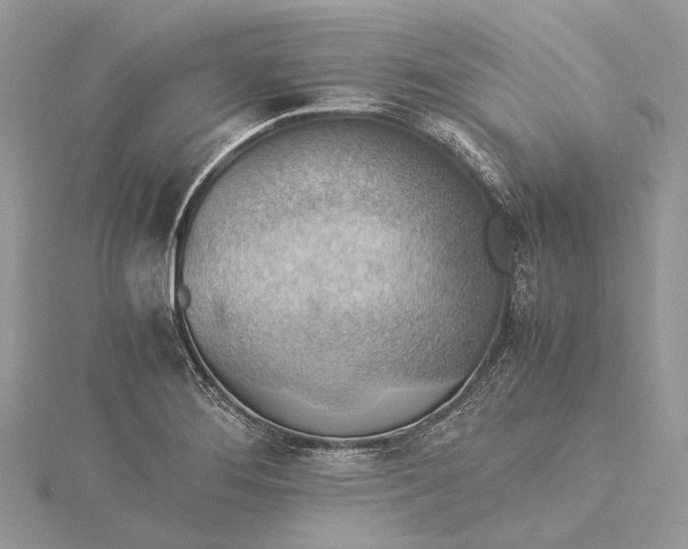 X0000115511276200911201631