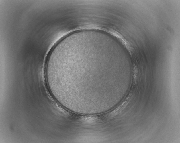 X0000115511278200911201631