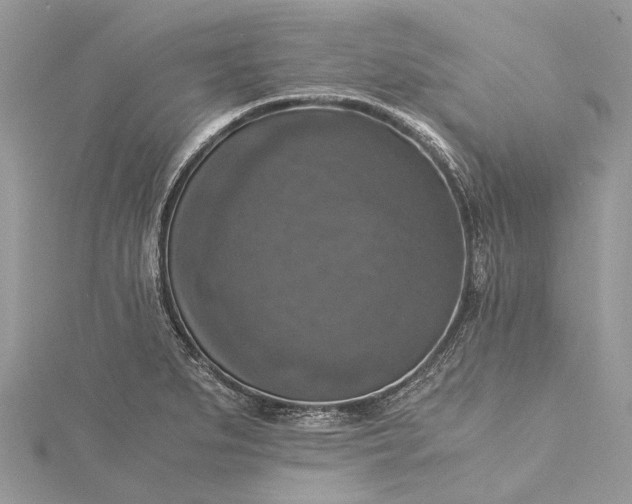 X0000115511279200911201631