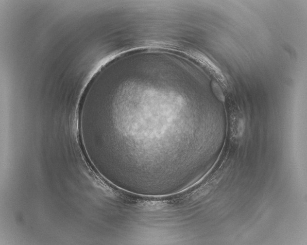 X0000115511280200911201631