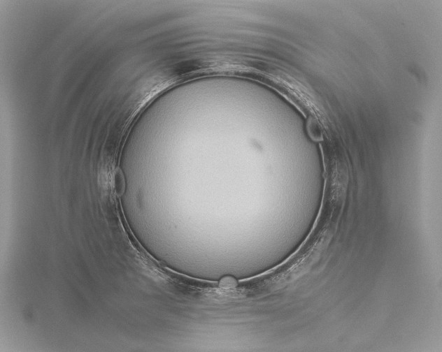 X0000115511281200911201631