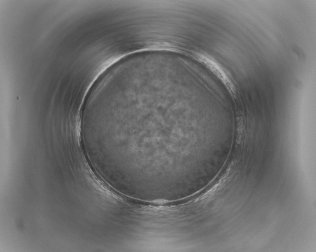 X0000115511284200911201631