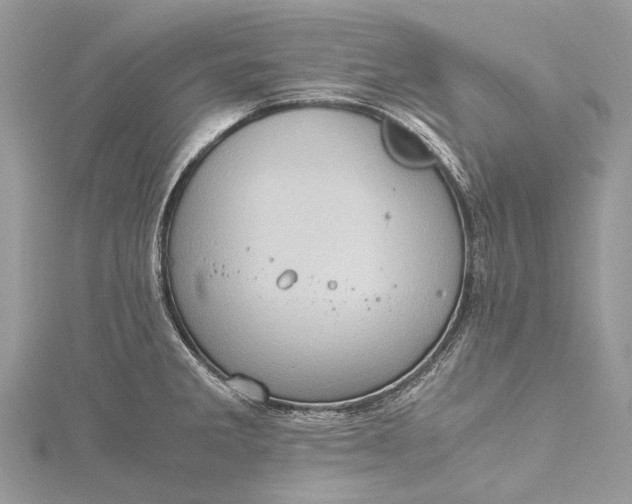 X0000115511285200911201631