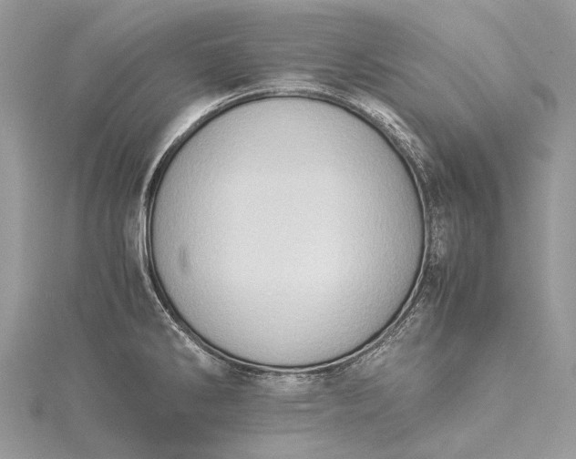 X0000115511286200911201631