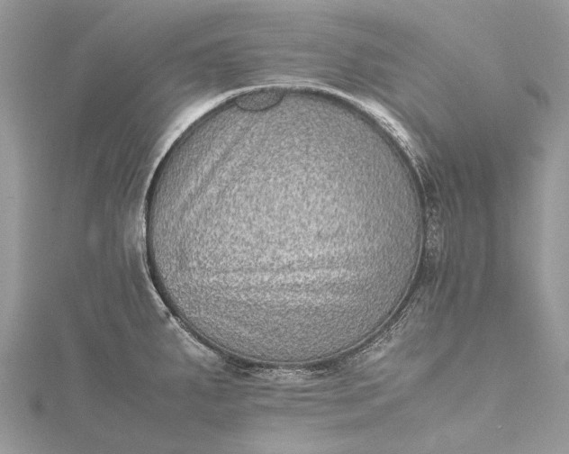 X0000115511287200911201631