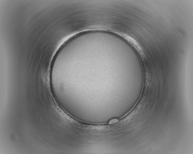 X0000115511288200911201631