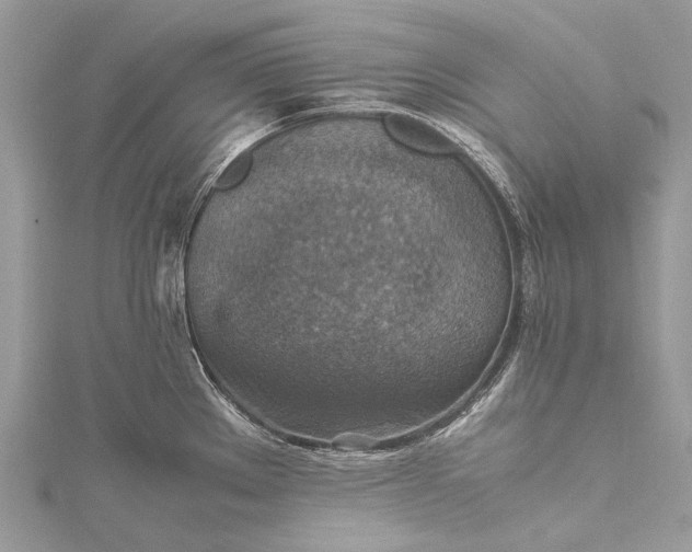 X0000115511289200911201631