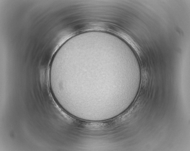 X0000115511290200911201631