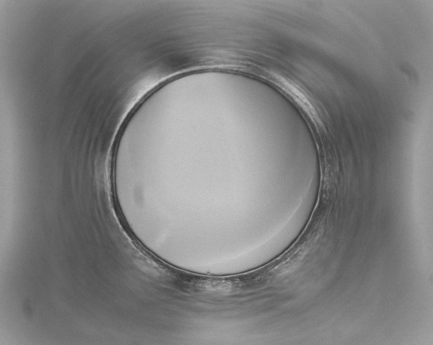 X0000115511291200911201631