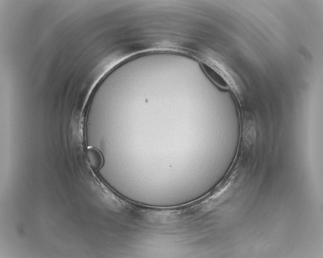 X0000115511292200911201631