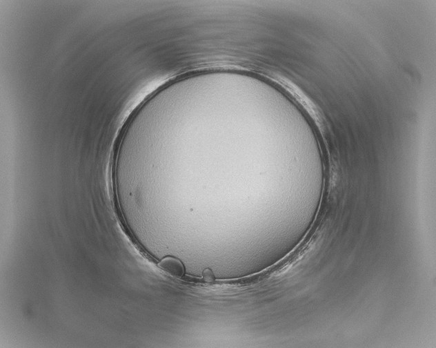 X0000115511293200911201631