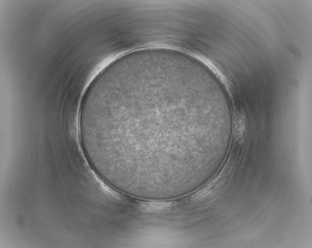 X0000115511294200911201631