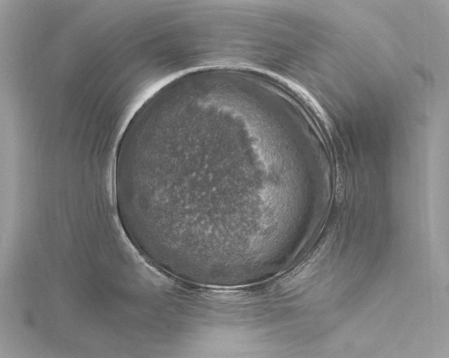 X0000115511295200911201631