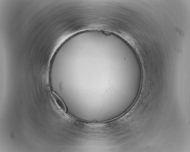 X0000115511296200911201631