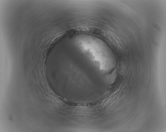 X0000115511297200911201631