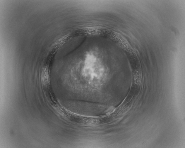 X0000115511298200911201631