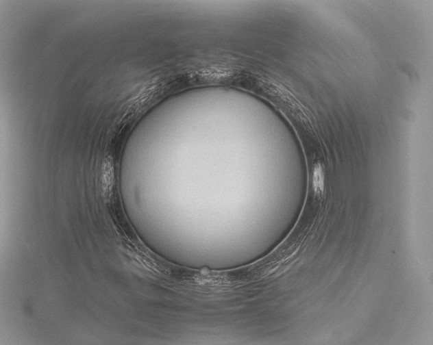 X0000115511299200911201631