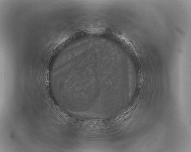 X0000115511301200911201631