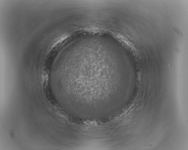 X0000115511302200911201631