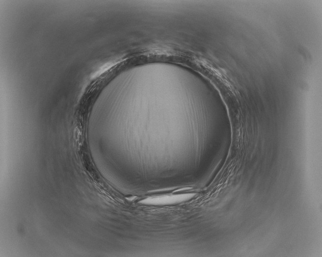 X0000115511303200911201631