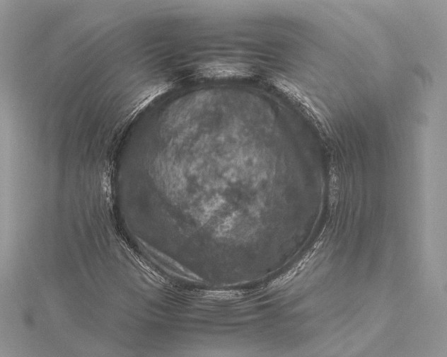 X0000115511305200911201631