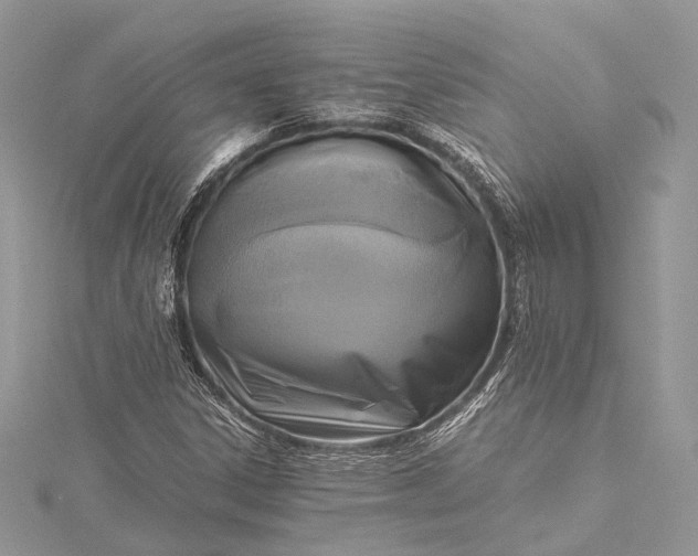 X0000115511306200911201631