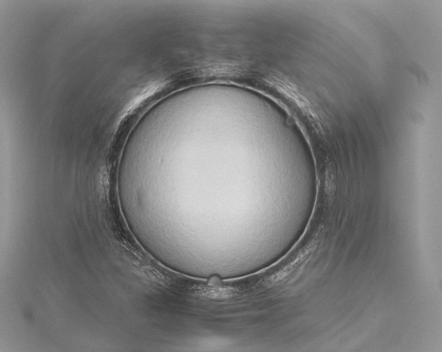 X0000115511309200911201631