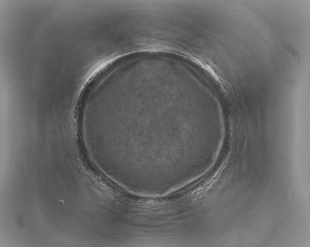 X0000115511311200911201631