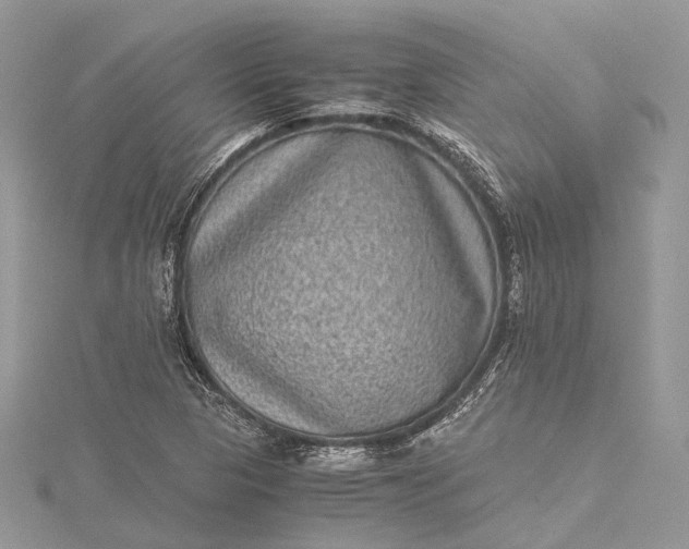 X0000115511313200911201631