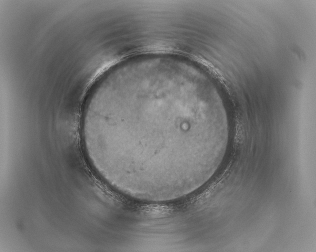 X0000115511314200911201631