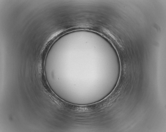 X0000115511315200911201631