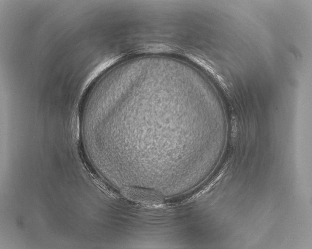 X0000115511317200911201631