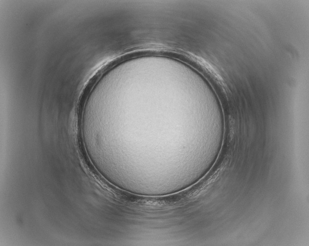 X0000115511318200911201631