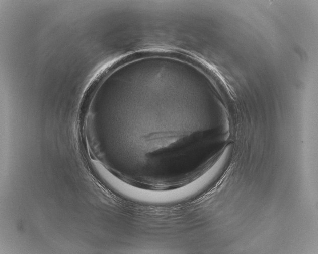 X0000115511319200911201631